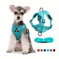 Honest Hound No-Pull Harness — Comfortable Control for Every Walk